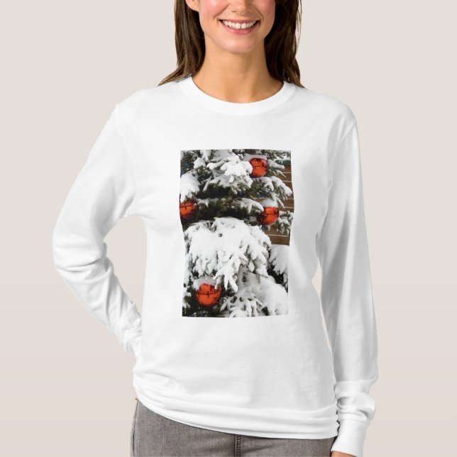 Canada, Alberta, Jasper, Jasper NP. Fairmont 2 T-Shirt (Front)