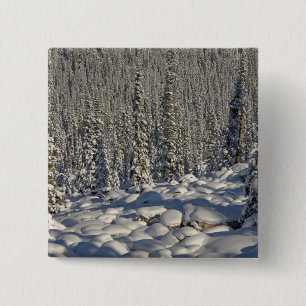 Canada, Alberta, Jasper National Park. 15 Cm Square Badge
