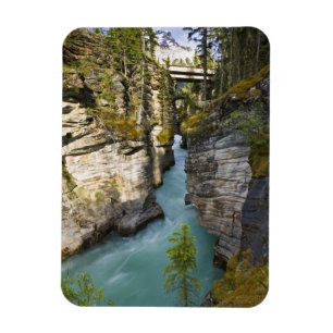 Canada, Alberta, Jasper National Park, Athabasca 2 Magnet
