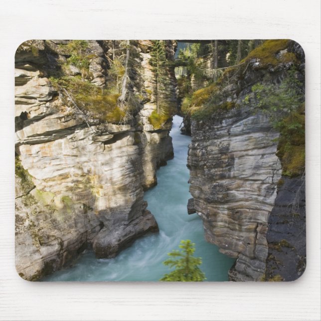 Canada, Alberta, Jasper National Park, Athabasca 2 Mouse Pad (Front)