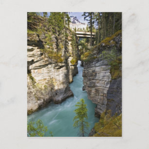 Canada, Alberta, Jasper National Park, Athabasca 2 Postcard