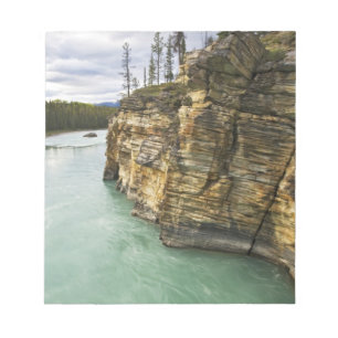 Canada, Alberta, Jasper National Park, Athabasca Notepad