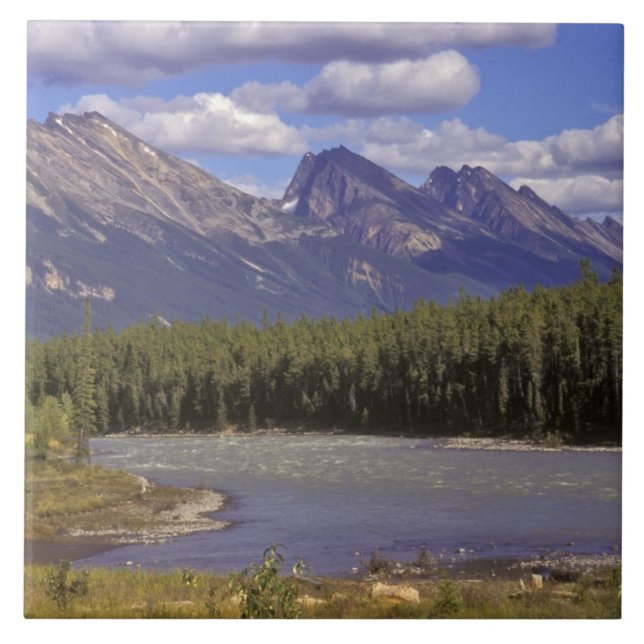 Canada, Alberta, Jasper National Park. Large Tile (Front)