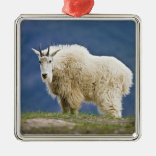 Canada, Alberta, Jasper National Park, Metal Tree Decoration