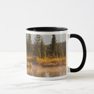 Canada, Alberta, Jasper National Park Mug