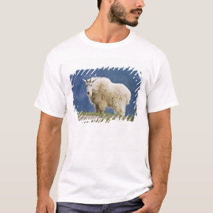 Canada, Alberta, Jasper National Park, T-Shirt