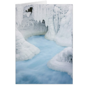 Canada, Alberta, Jasper National Park. The
