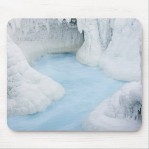 Canada, Alberta, Jasper National Park. The Mouse Pad