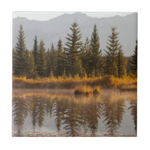 Canada, Alberta, Jasper National Park Tile