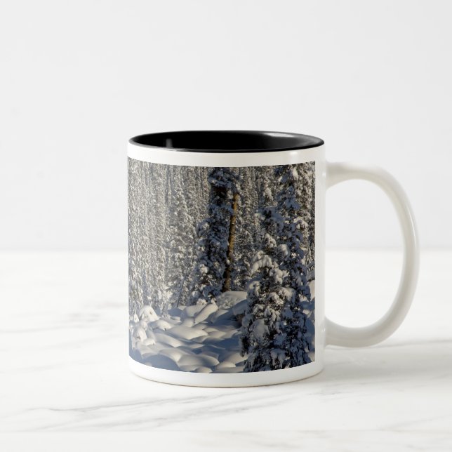 Canada, Alberta, Jasper National Park. Two-Tone Coffee Mug (Right)