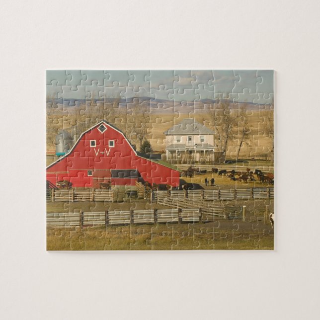 Canada, Alberta, Pincher Creek: Red Barn & Ranch Jigsaw Puzzle (Horizontal)