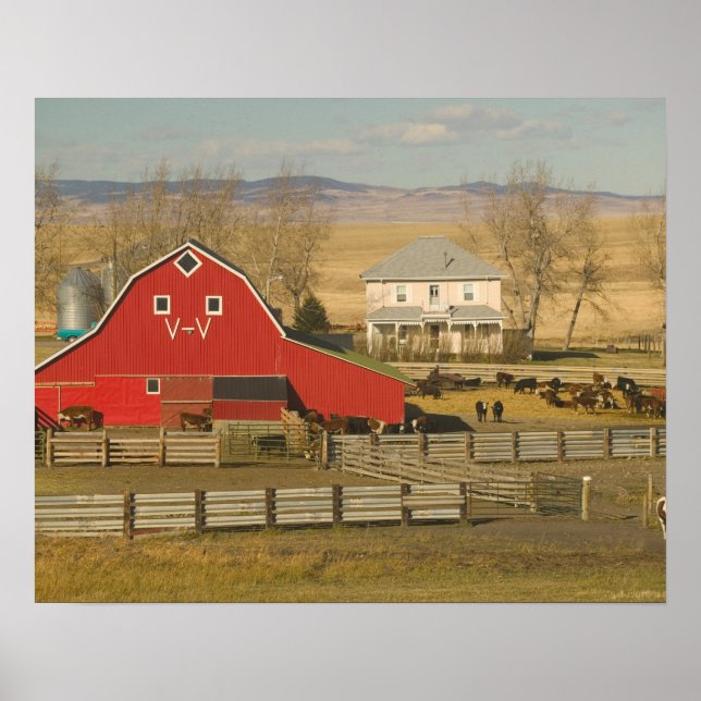 Canada, Alberta, Pincher Creek: Red Barn & Ranch Poster (Front)