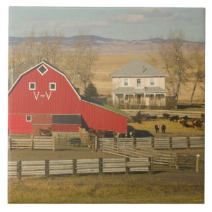 Canada, Alberta, Pincher Creek: Red Barn & Ranch Tile