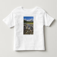 Canada, Alberta, Rocky Mountains, Banff National