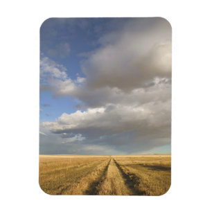 Canada, Alberta, Stand Off: Landscape with Magnet