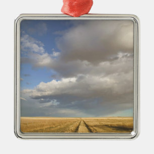 Canada, Alberta, Stand Off: Landscape with Metal Tree Decoration