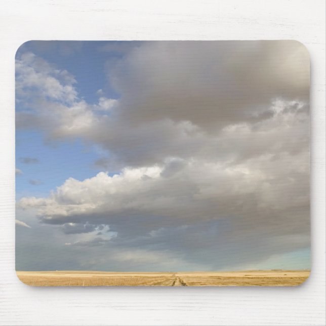 Canada, Alberta, Stand Off: Landscape with Mouse Pad (Front)
