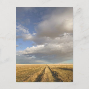 Canada, Alberta, Stand Off: Landscape with Postcard