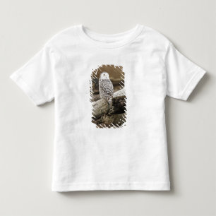 Canada, Boundary Bay, Snowy Owl Toddler T-Shirt