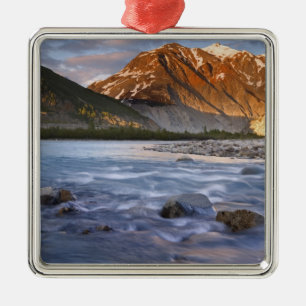 Canada, British Columbia, Alsek River Valley. 2 Metal Tree Decoration