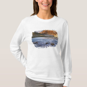 Canada, British Columbia, Alsek River Valley. 2 T-Shirt