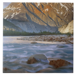 Canada, British Columbia, Alsek River Valley. Tile