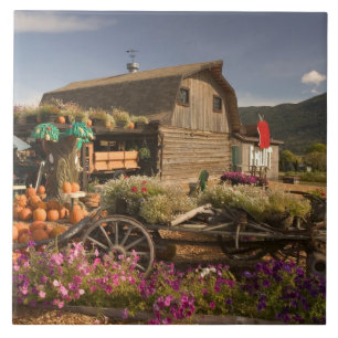 CANADA, British Columbia, Enderby. Log Barn Tile