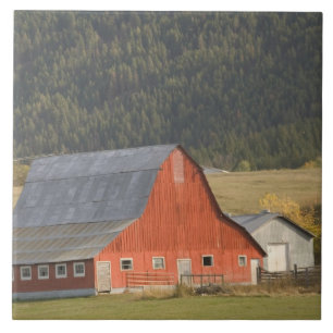 CANADA, British Columbia, Enderby. Red Barn / Tile