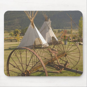 CANADA, British Columbia, Enderby. Tepees & Mouse Pad