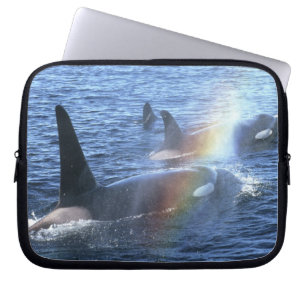 Canada, British Columbia, Johnstone Straight, Laptop Sleeve