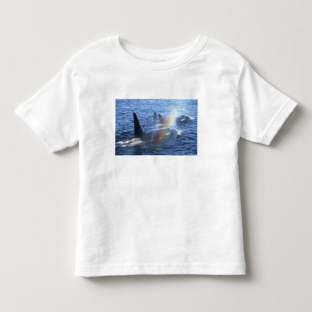 Canada, British Columbia, Johnstone Straight, Toddler T-Shirt (Front)