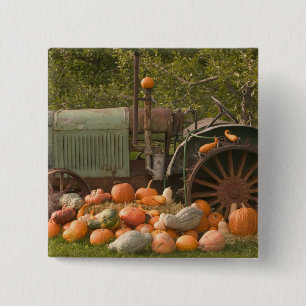 CANADA, British Columbia, Keremeos. Autumn / 2 15 Cm Square Badge