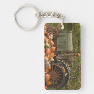 CANADA, British Columbia, Keremeos. Autumn / 2 Key Ring