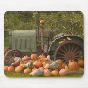 CANADA, British Columbia, Keremeos. Autumn / 2 Mouse Pad