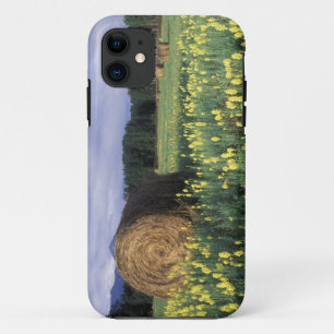 Canada, British Columbia, Kitwanga. Yellow iPhone 11 Case