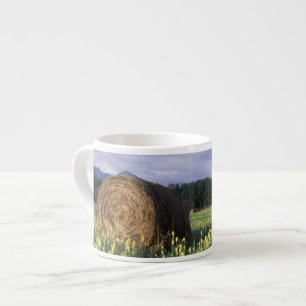 Canada, British Columbia, Kitwanga. Yellow Espresso Cup