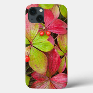 Canada, British Columbia, Mount Robson iPhone 13 Case