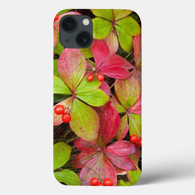Canada, British Columbia, Mount Robson Case-Mate iPhone Case (Back)
