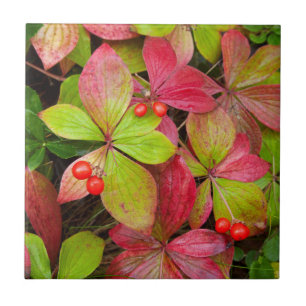 Canada, British Columbia, Mount Robson Tile