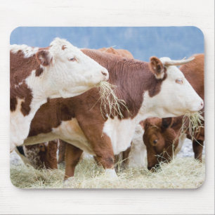 Canada, British Columbia, Pemberton Mouse Pad