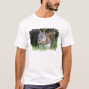 Canada, British Columbia, Red Squirrel Pine T-Shirt