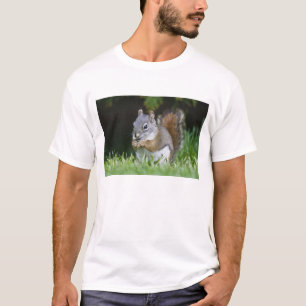 Canada, British Columbia, Red Squirrel Pine T-Shirt
