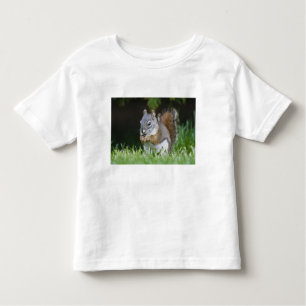 Canada, British Columbia, Red Squirrel Pine Toddler T-Shirt