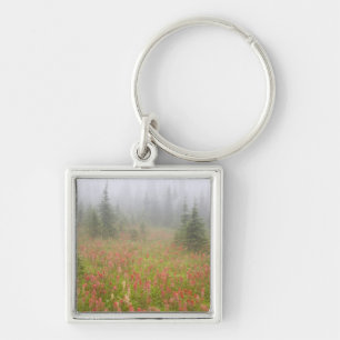 Canada, British Columbia, Revelstoke National Key Ring