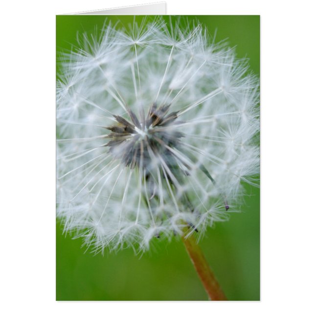 Canada, British Columbia, Vancouver Island 4 (Front)