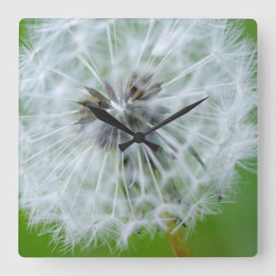 Canada, British Columbia, Vancouver Island 4 Square Wall Clock