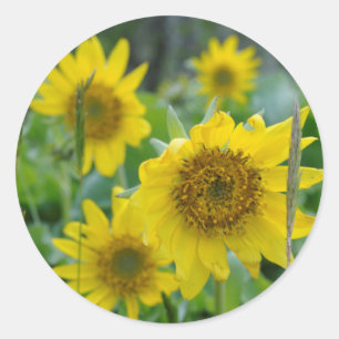 Canada, British Columbia, Vancouver Island 5 Classic Round Sticker