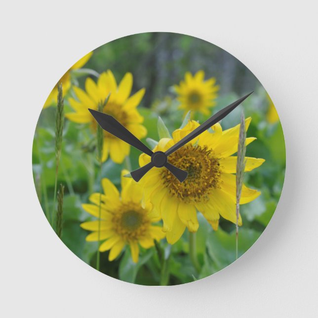 Canada, British Columbia, Vancouver Island 5 Round Clock (Front)
