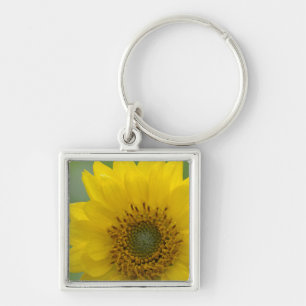 Canada, British Columbia, Vancouver Island 7 Key Ring