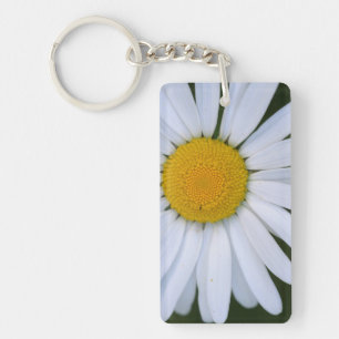Canada, British Columbia, Vancouver Island 8 Key Ring